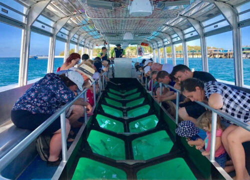 Glasbodenboot in Hurghada