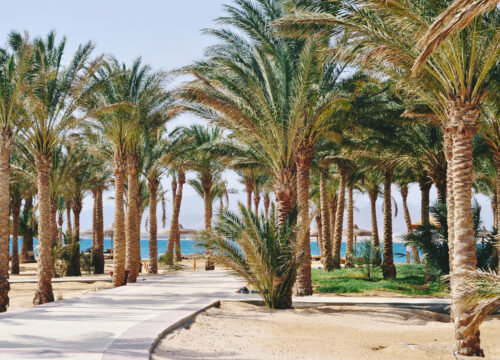Hurghada city tour private