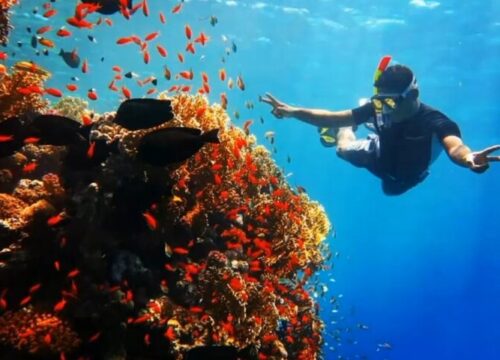Private snorkeling boat tour