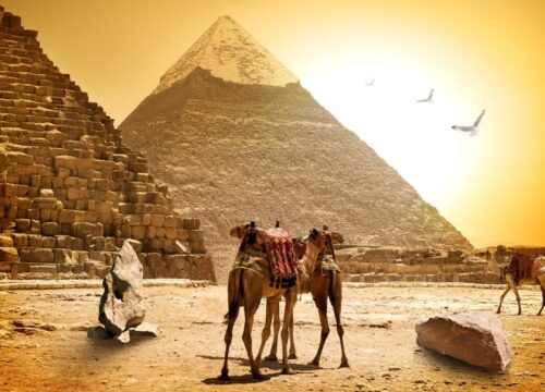 Day trip to Cairo by plane