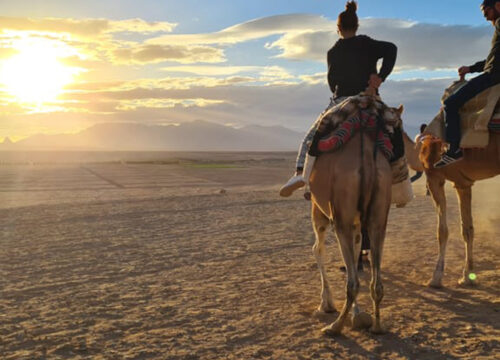 Hurghada Quad and Buggy Sea View, Camel at Sunrise