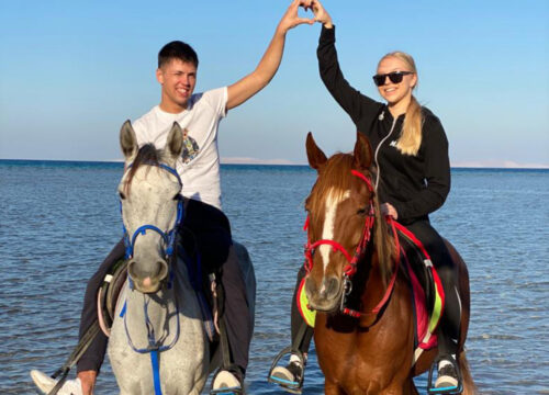 Red Sea and Desert Horse Riding with Swimming